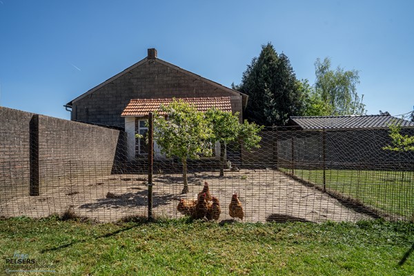 Medium property photo - Hoogstraat 6, 5954 AC Beesel